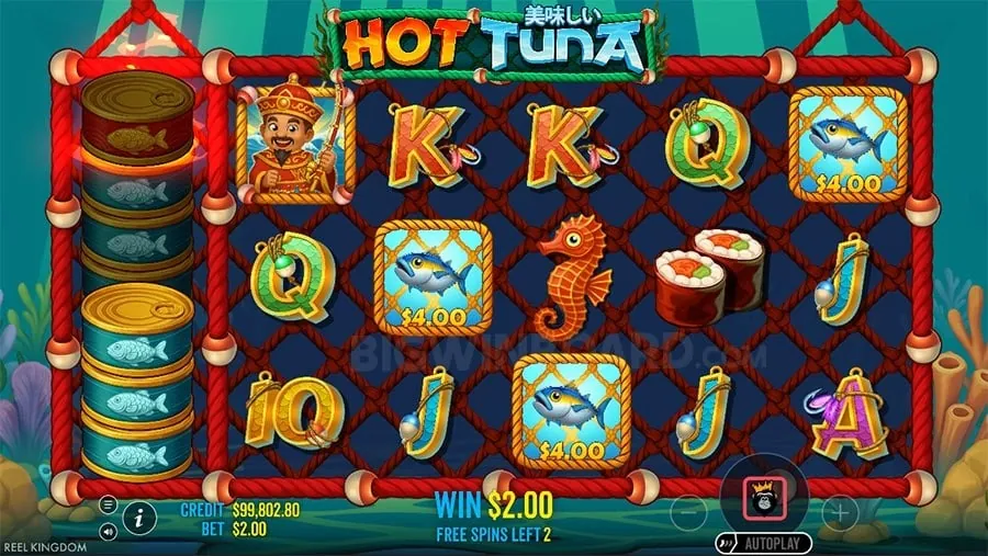taya365 Sports Betting Fundamentals
